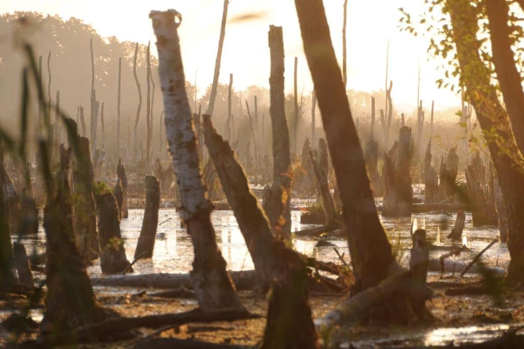Romantisches Am Waldesrand Mit Gartensauna Schwarz